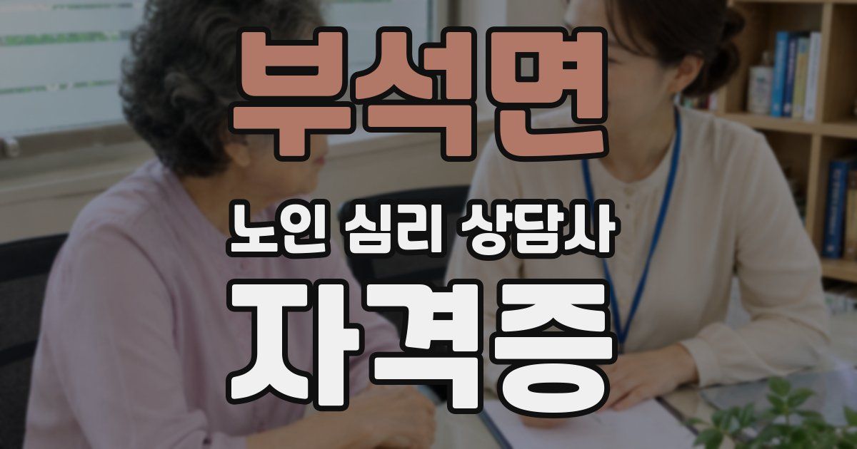 부석면 노인 심리 상담사 자격증