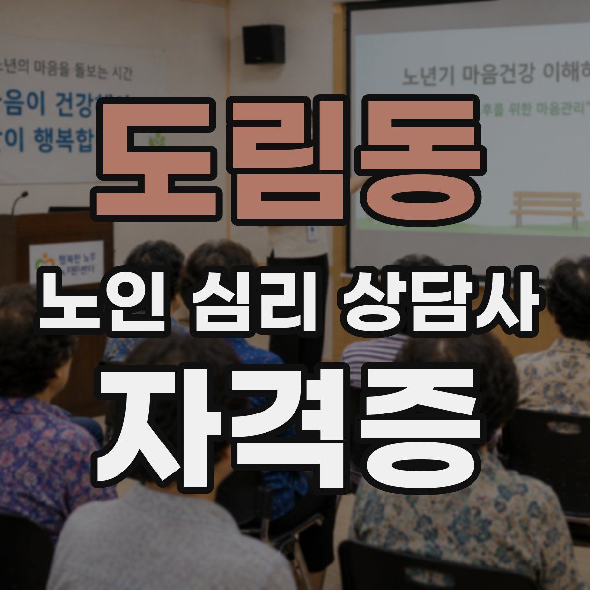 도림동 노인 심리 상담사 자격증