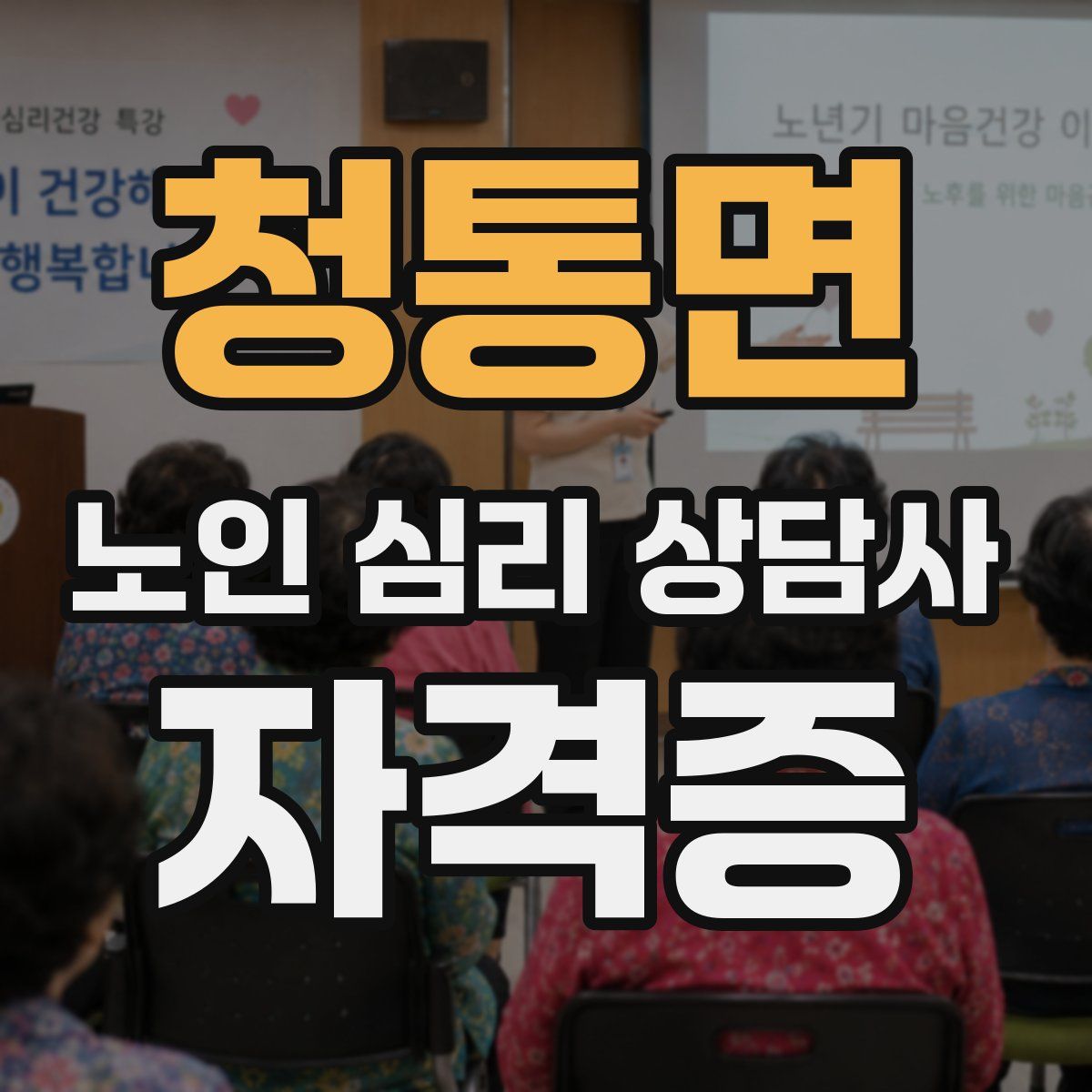 청통면 노인 심리 상담사 자격증