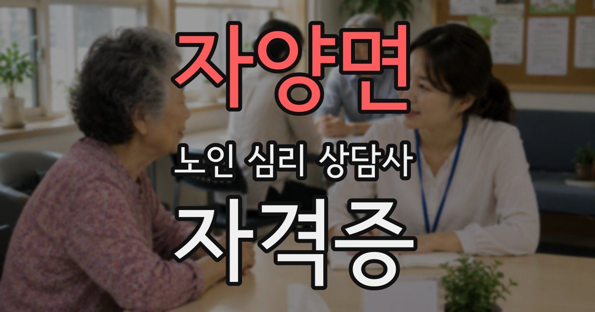 자양면 노인 심리 상담사 자격증