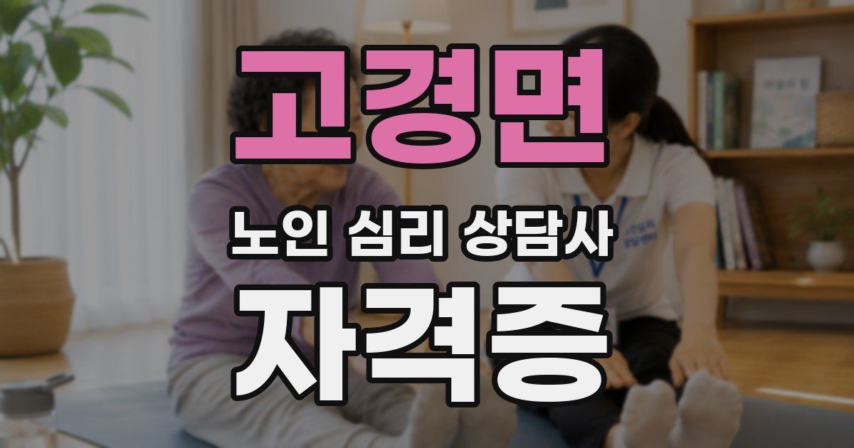 고경면 노인 심리 상담사 자격증