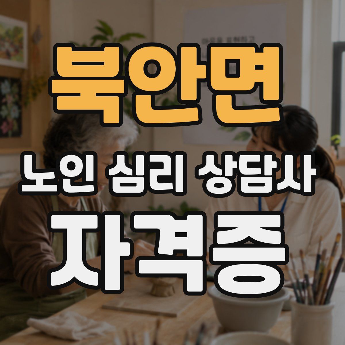 북안면 노인 심리 상담사 자격증