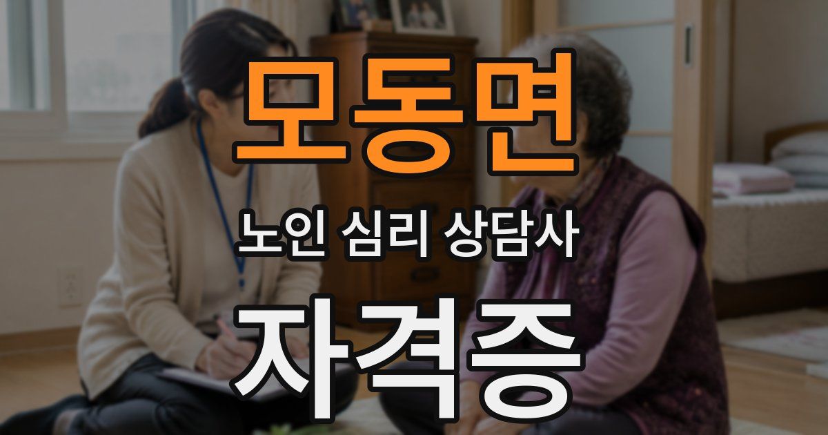 모동면 노인 심리 상담사 자격증