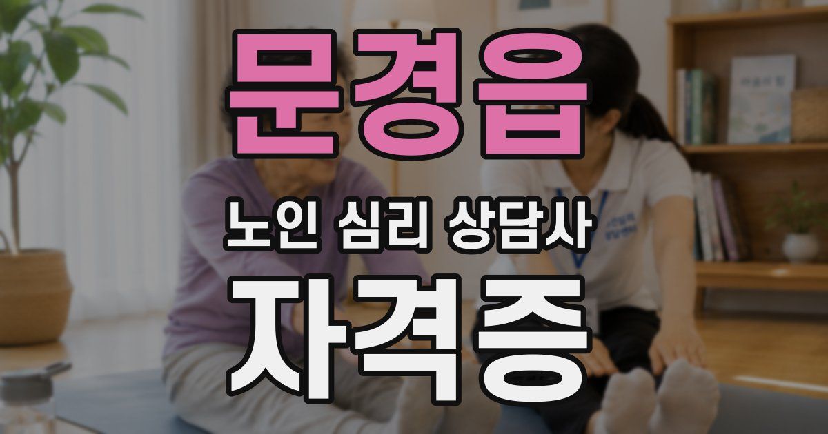 문경읍 노인 심리 상담사 자격증