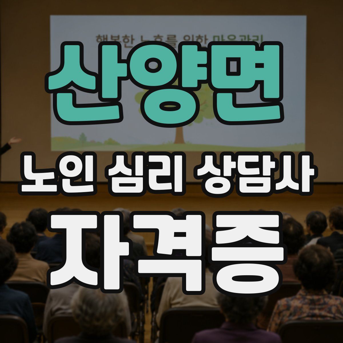 산양면 노인 심리 상담사 자격증