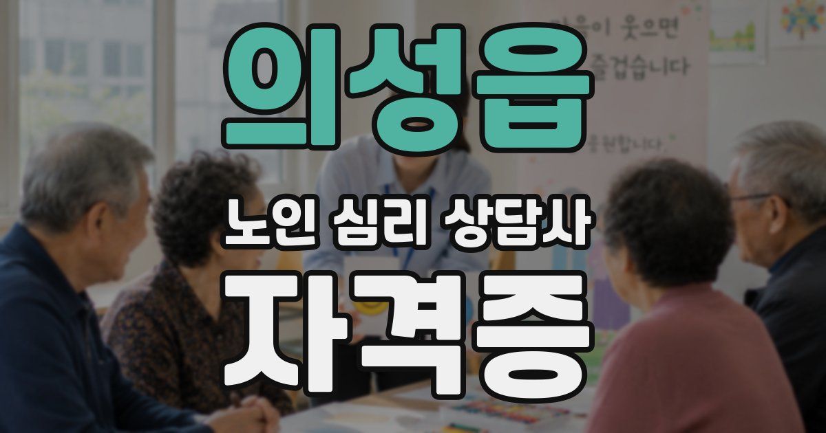 의성읍 노인 심리 상담사 자격증