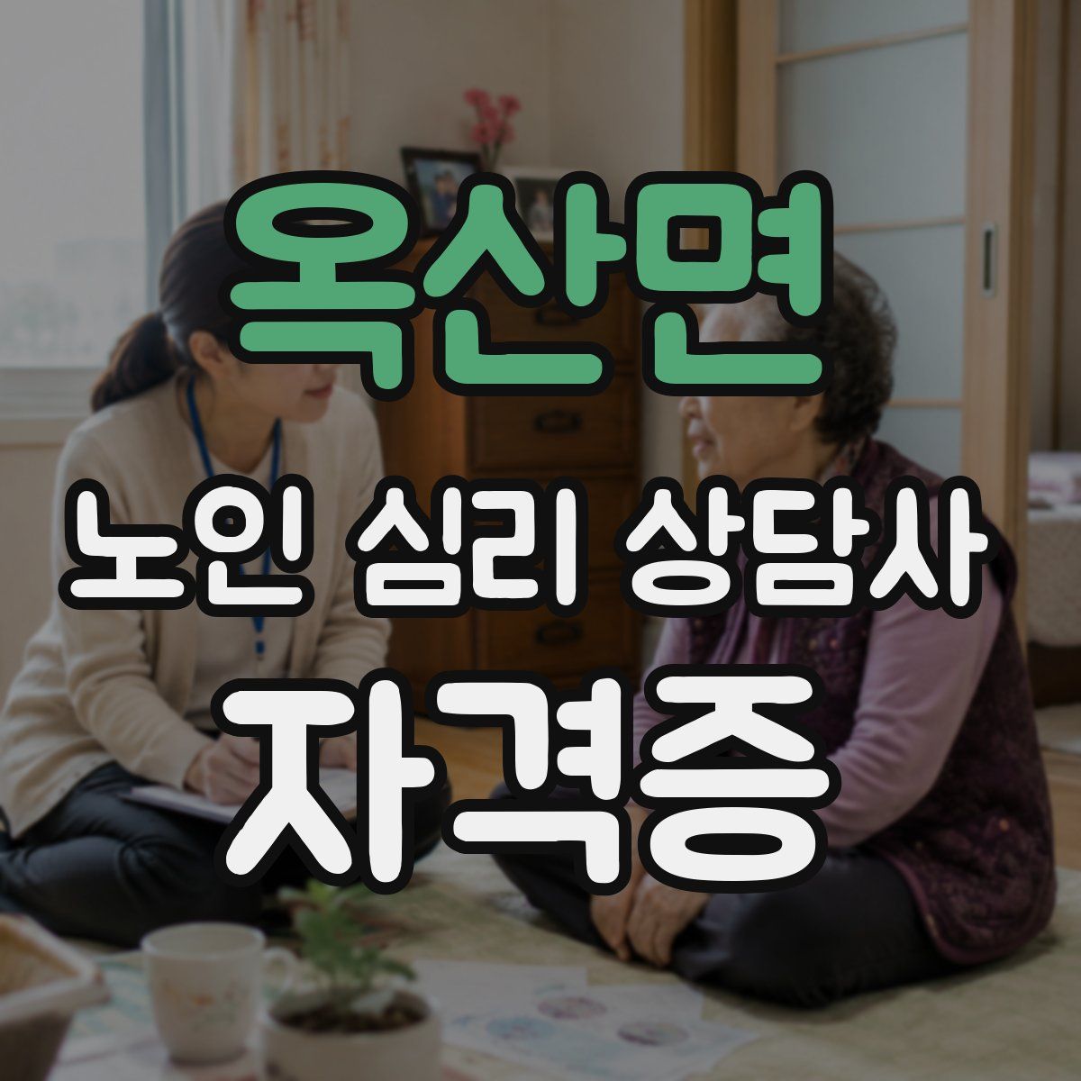 옥산면 노인 심리 상담사 자격증