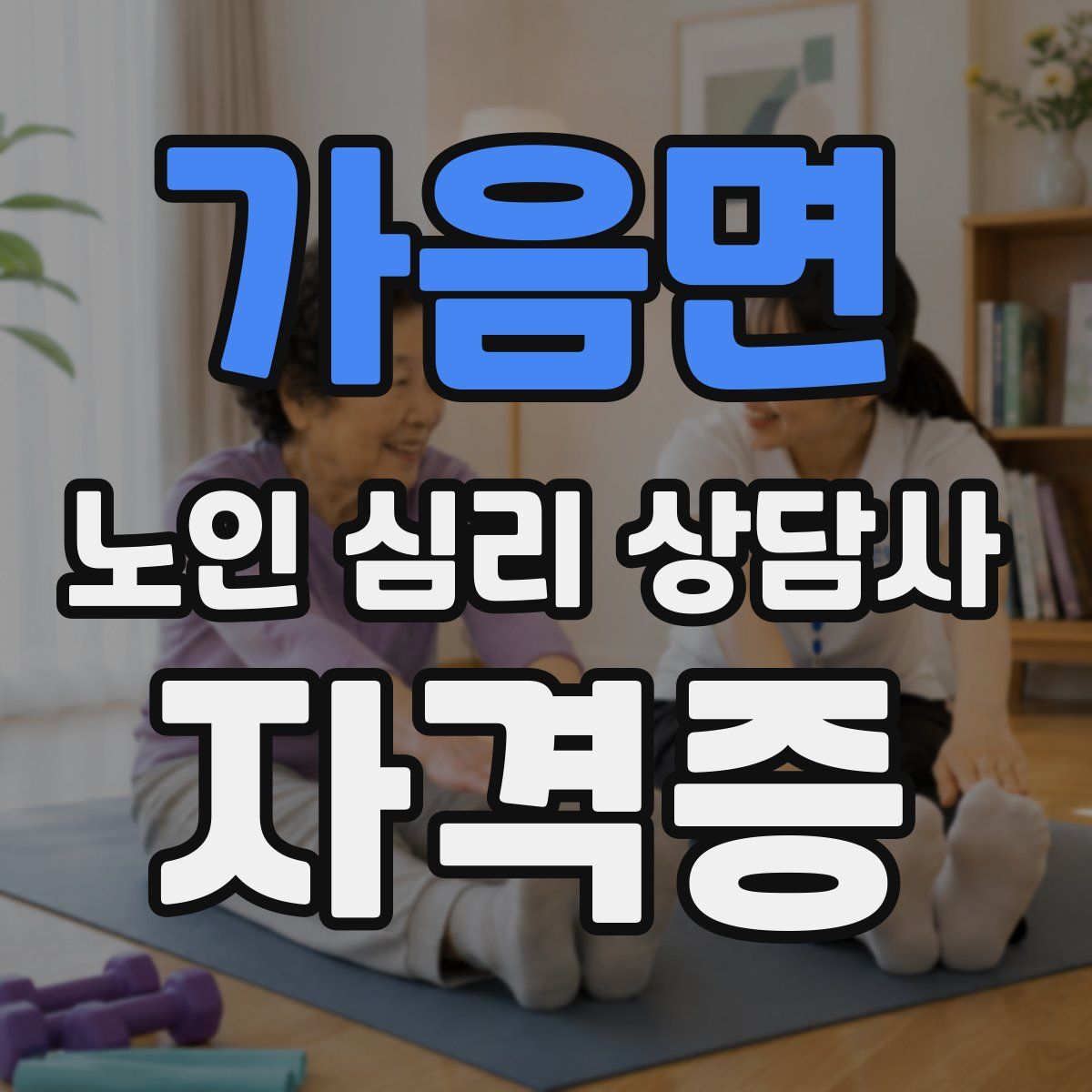 가음면 노인 심리 상담사 자격증