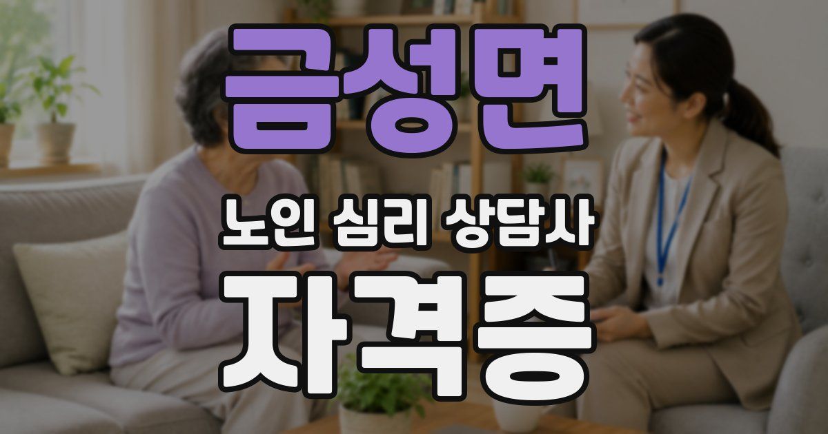 금성면 노인 심리 상담사 자격증