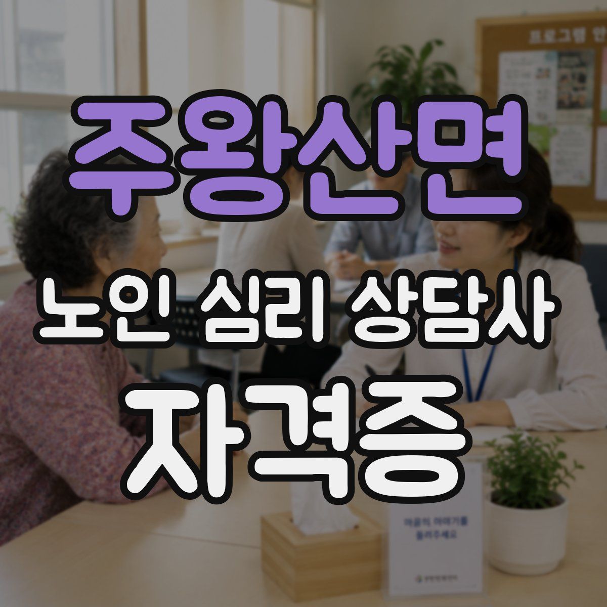 주왕산면 노인 심리 상담사 자격증
