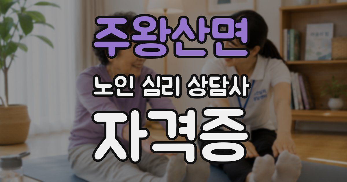주왕산면 노인 심리 상담사 자격증