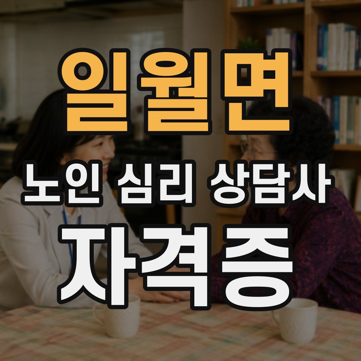 일월면 노인 심리 상담사 자격증