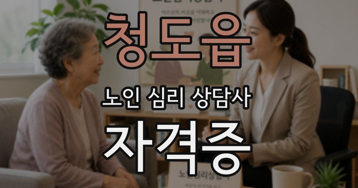 청도읍 노인 심리 상담사 자격증