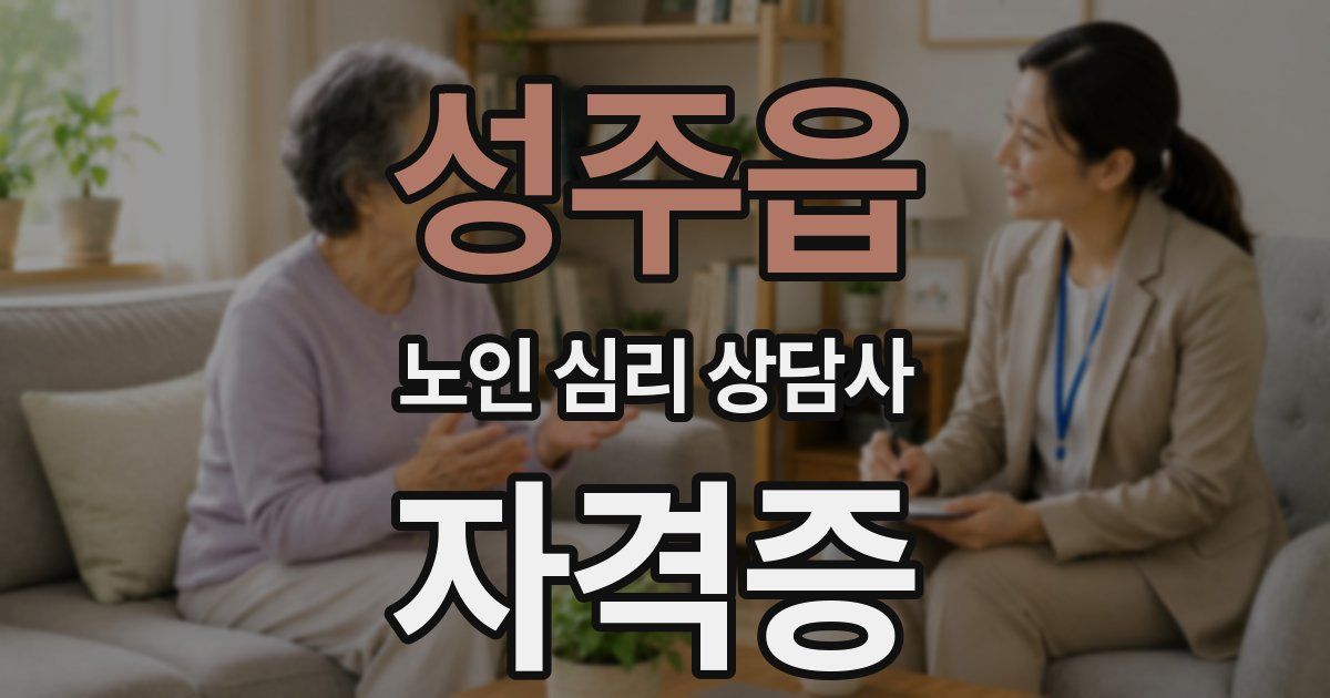성주읍 노인 심리 상담사 자격증