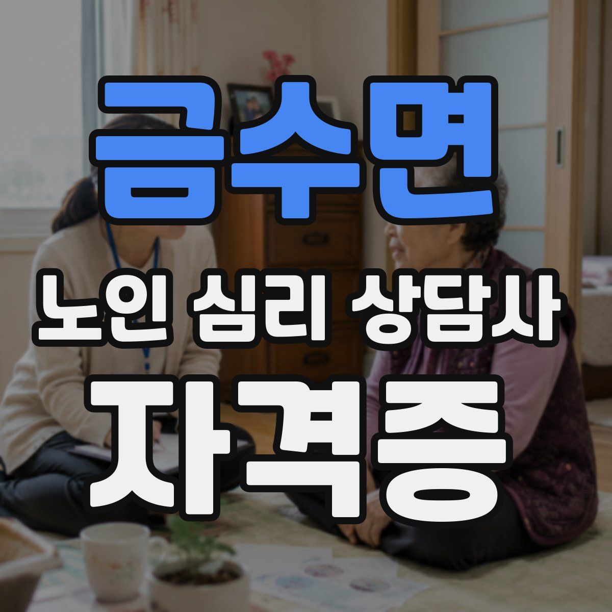 금수면 노인 심리 상담사 자격증