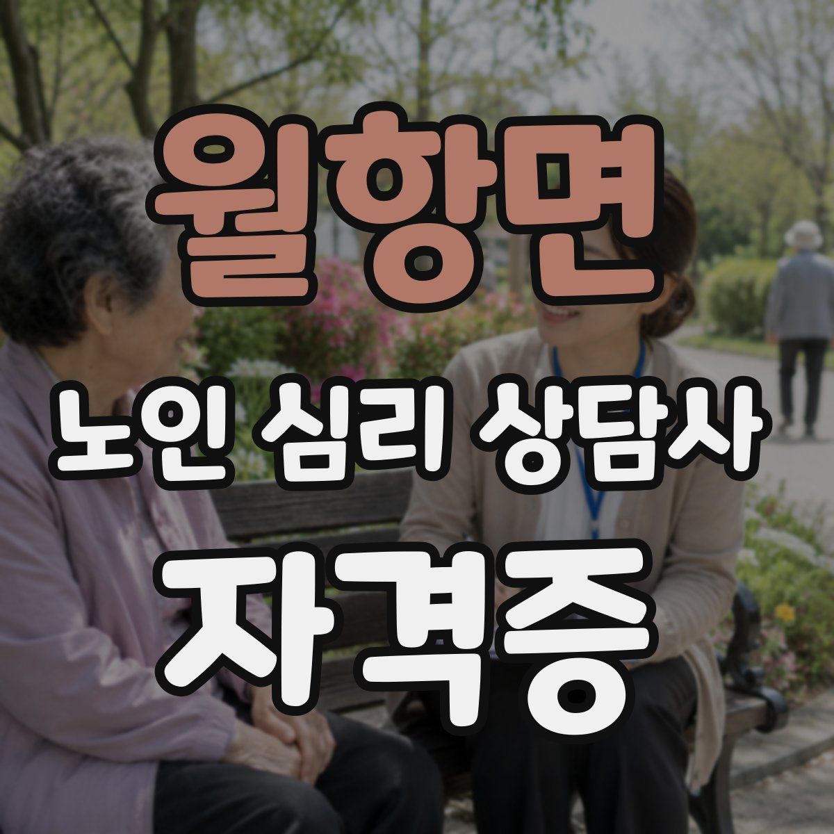 월항면 노인 심리 상담사 자격증