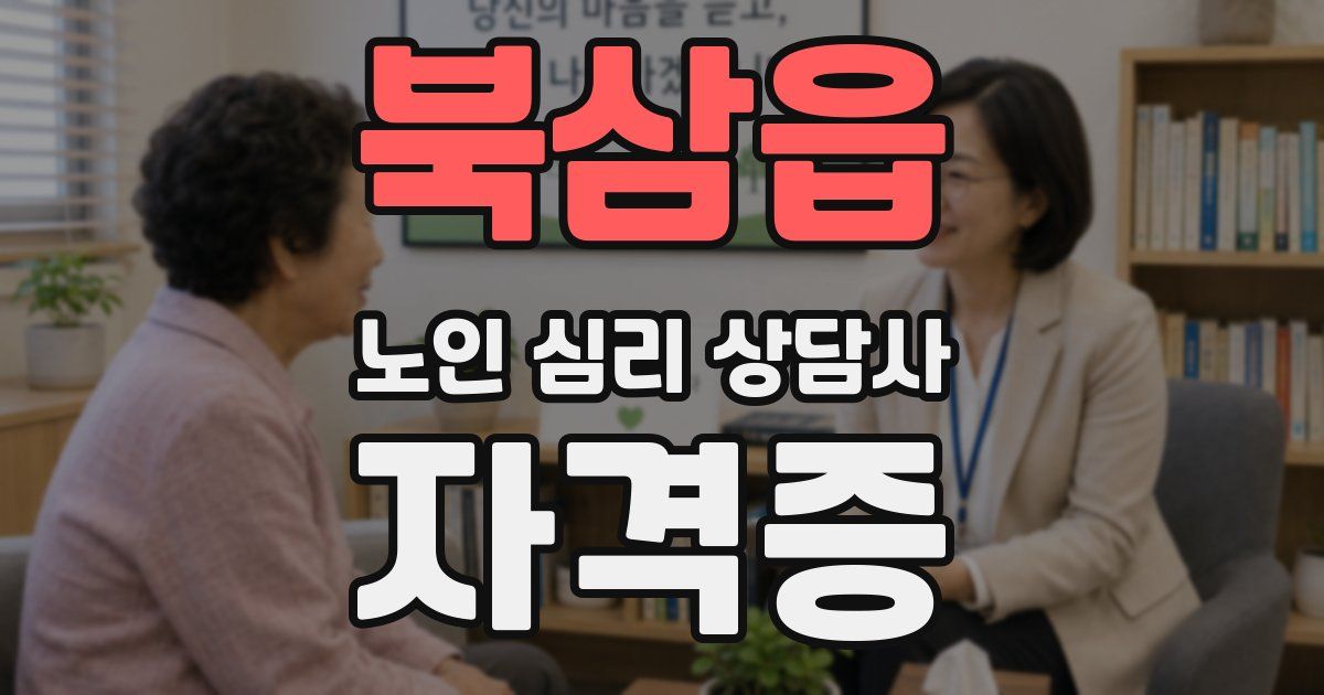북삼읍 노인 심리 상담사 자격증