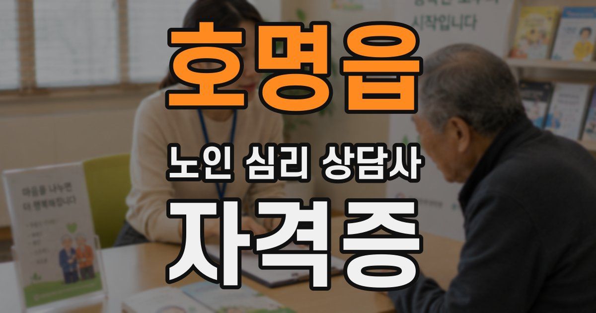 호명읍 노인 심리 상담사 자격증