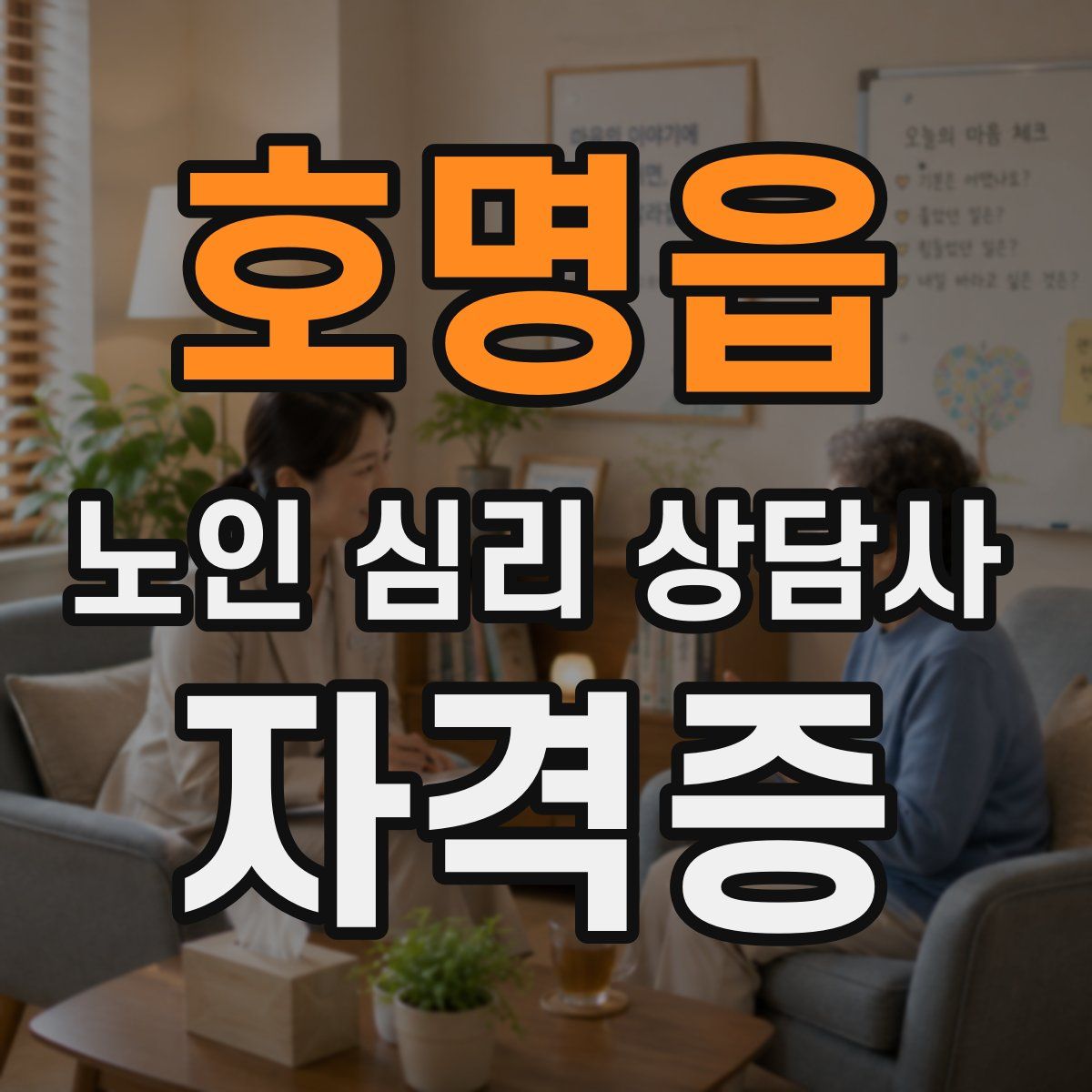 호명읍 노인 심리 상담사 자격증