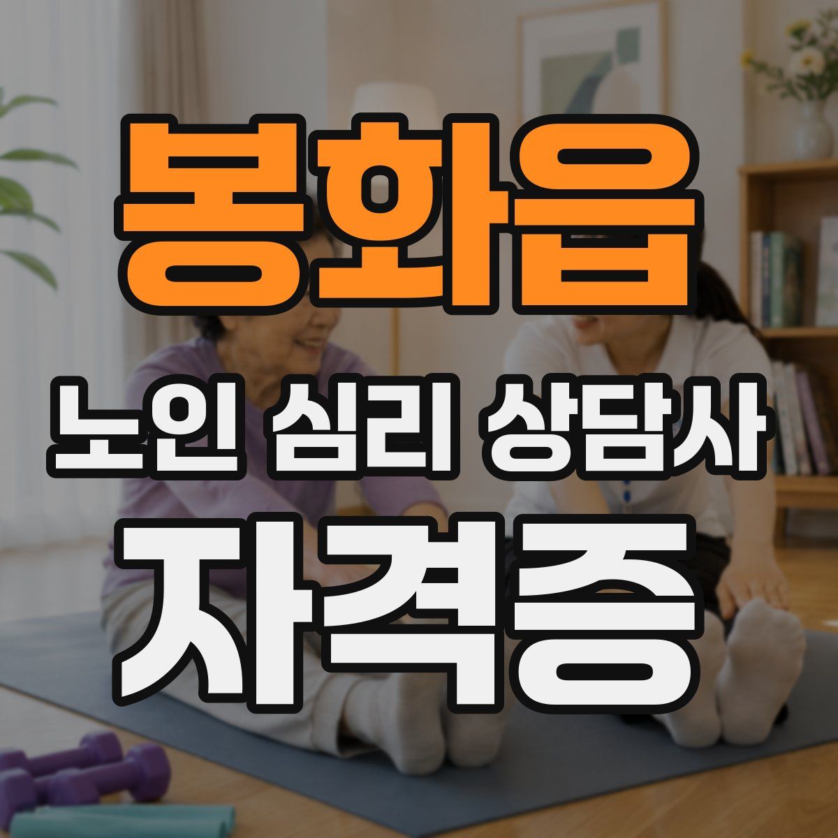 봉화읍 노인 심리 상담사 자격증