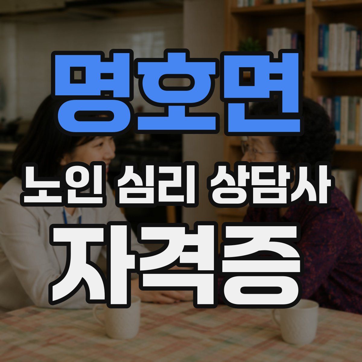 명호면 노인 심리 상담사 자격증