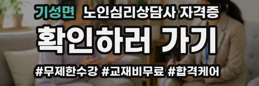 기성면 노인 심리 상담사 자격증