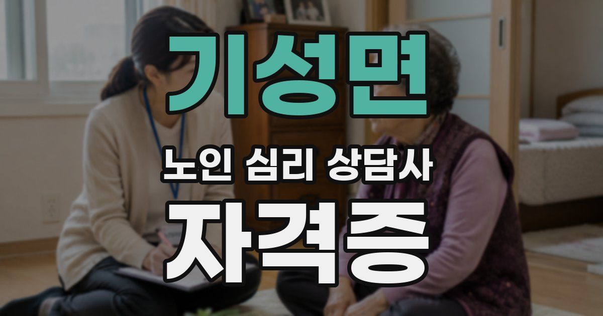 기성면 노인 심리 상담사 자격증