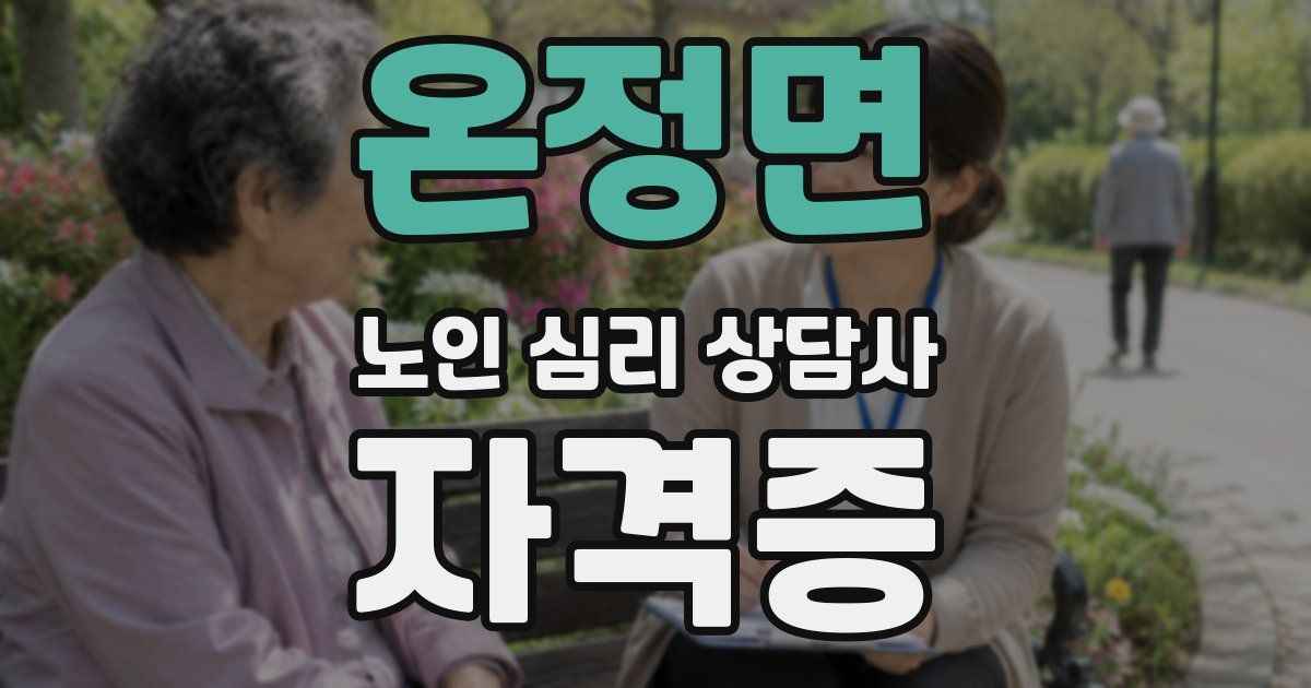 온정면 노인 심리 상담사 자격증