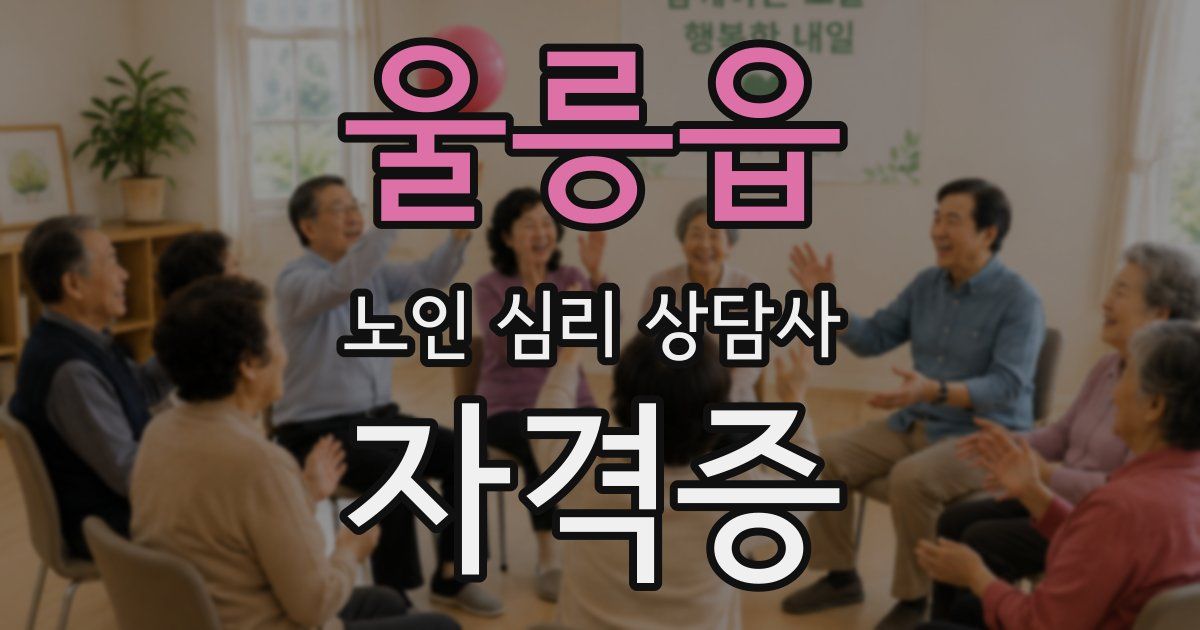 울릉읍 노인 심리 상담사 자격증