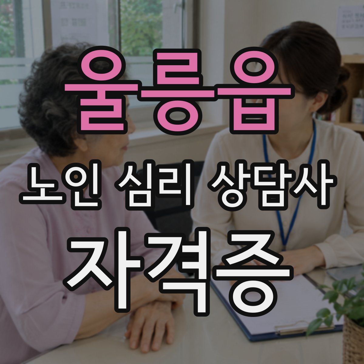 울릉읍 노인 심리 상담사 자격증