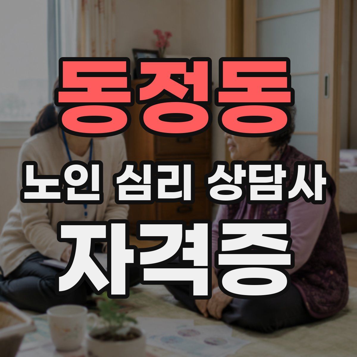 동정동 노인 심리 상담사 자격증