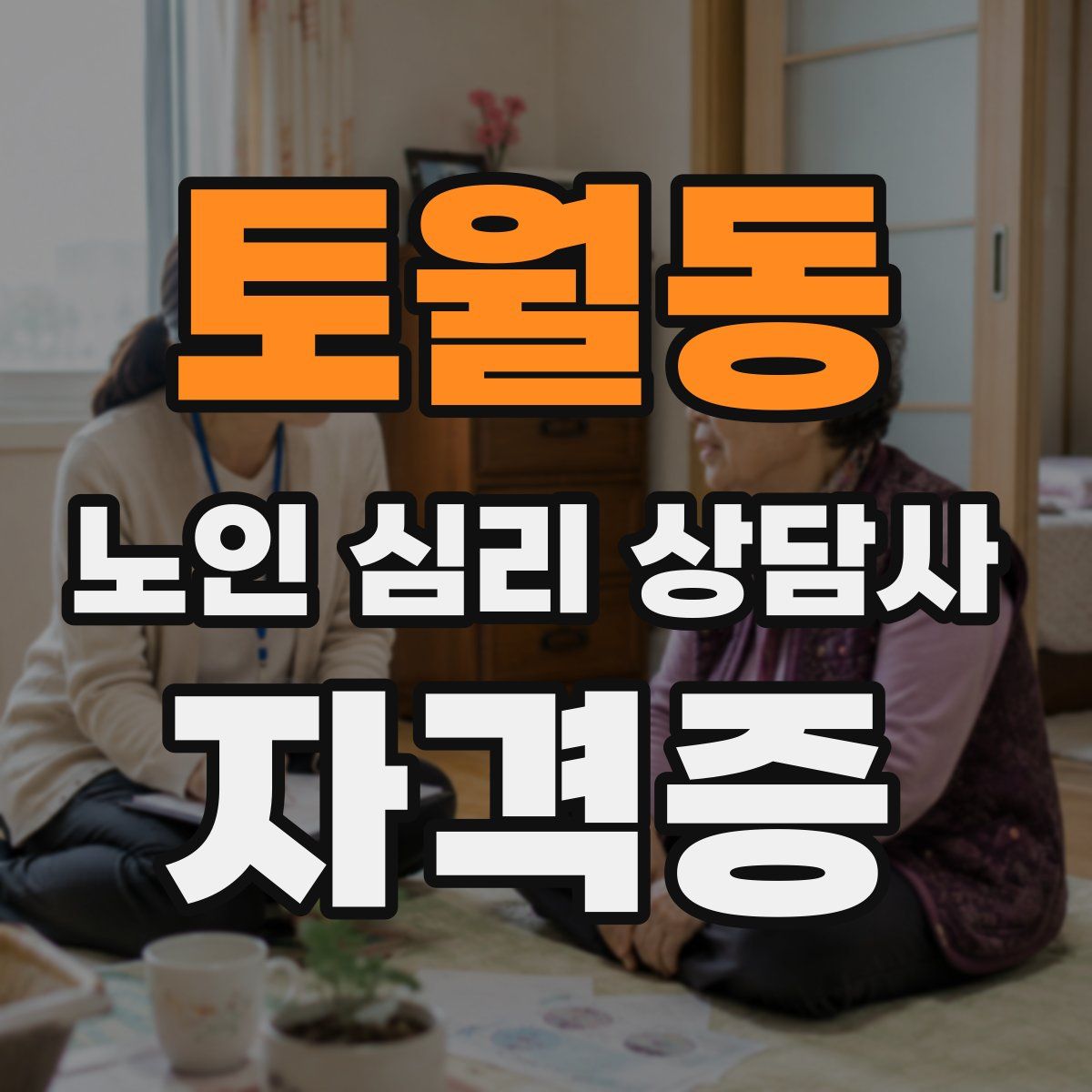 토월동 노인 심리 상담사 자격증