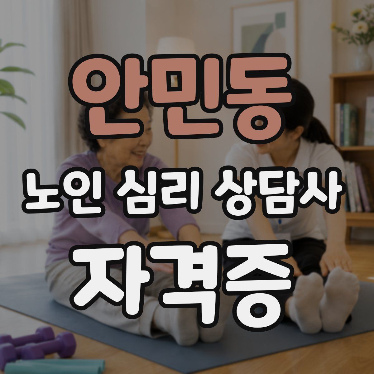 안민동 노인 심리 상담사 자격증