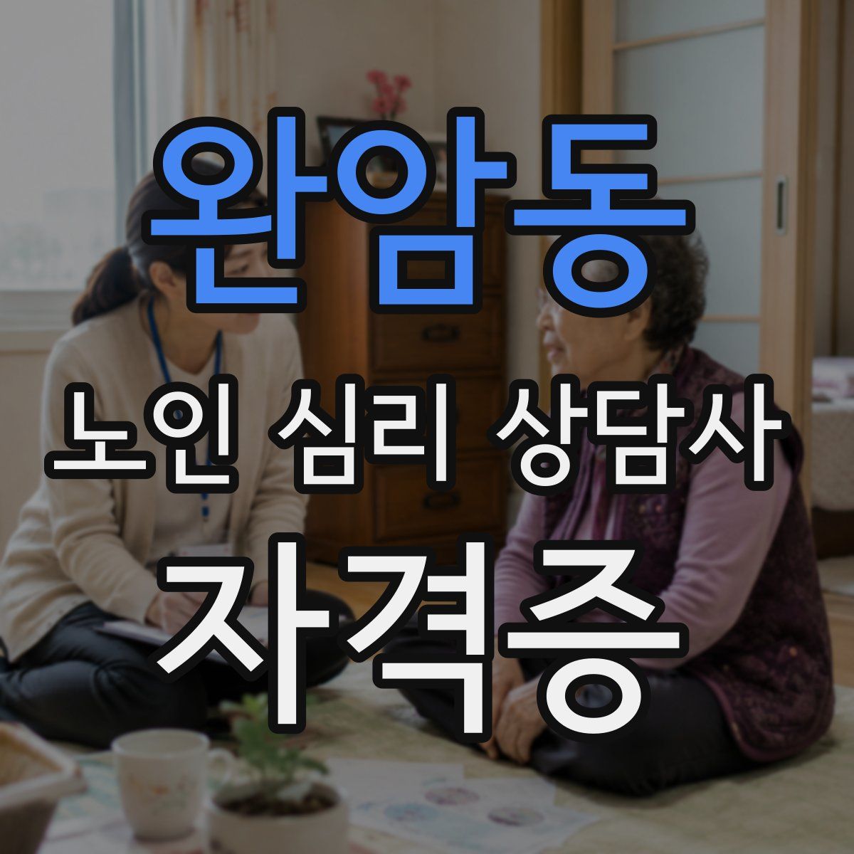 완암동 노인 심리 상담사 자격증