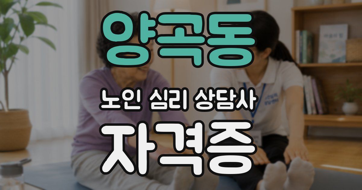 양곡동 노인 심리 상담사 자격증