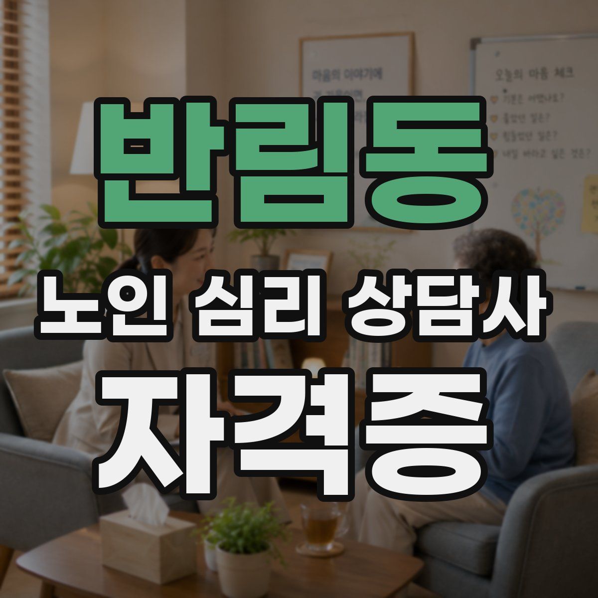 반림동 노인 심리 상담사 자격증