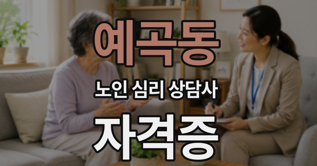 예곡동 노인 심리 상담사 자격증