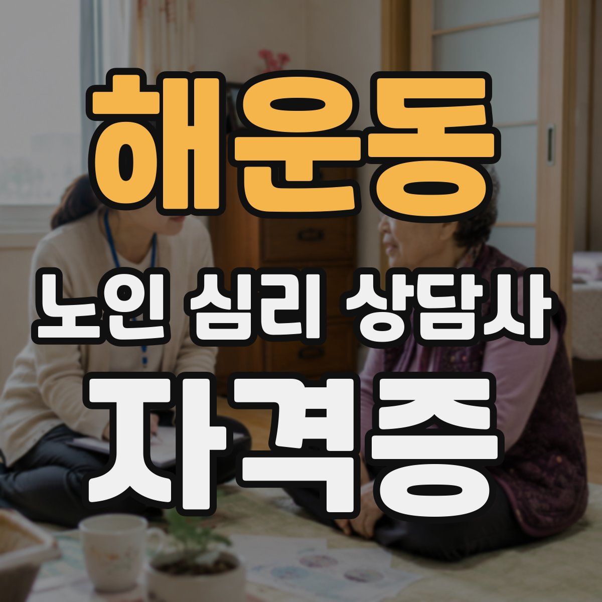 해운동 노인 심리 상담사 자격증