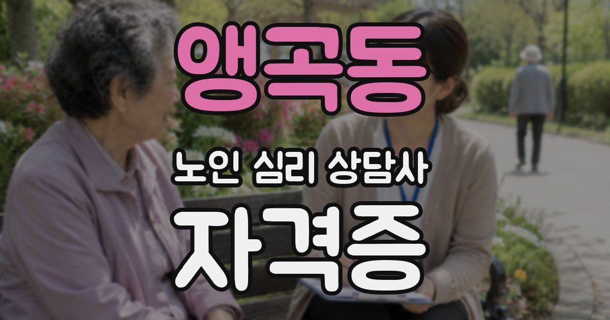 앵곡동 노인 심리 상담사 자격증