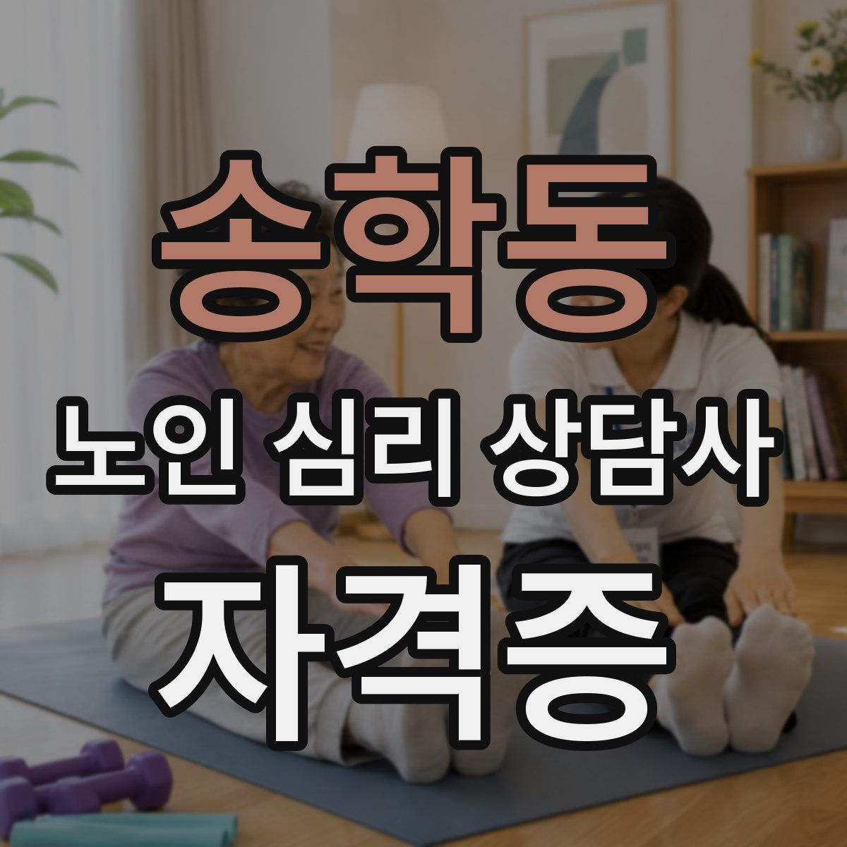 송학동 노인 심리 상담사 자격증