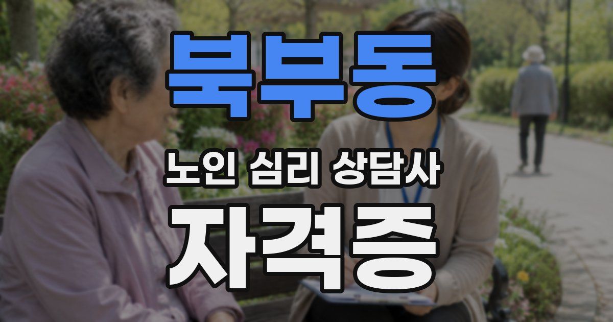 북부동 노인 심리 상담사 자격증