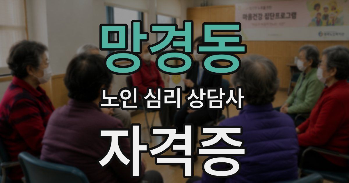 망경동 노인 심리 상담사 자격증