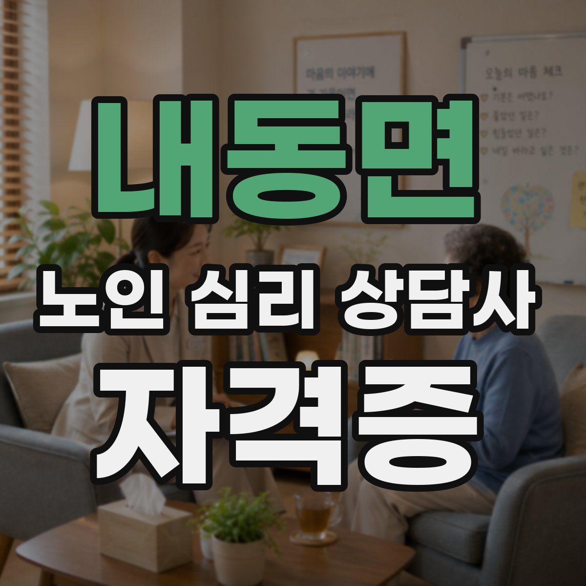 내동면 노인 심리 상담사 자격증