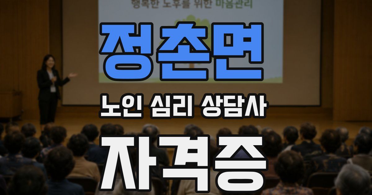 정촌면 노인 심리 상담사 자격증