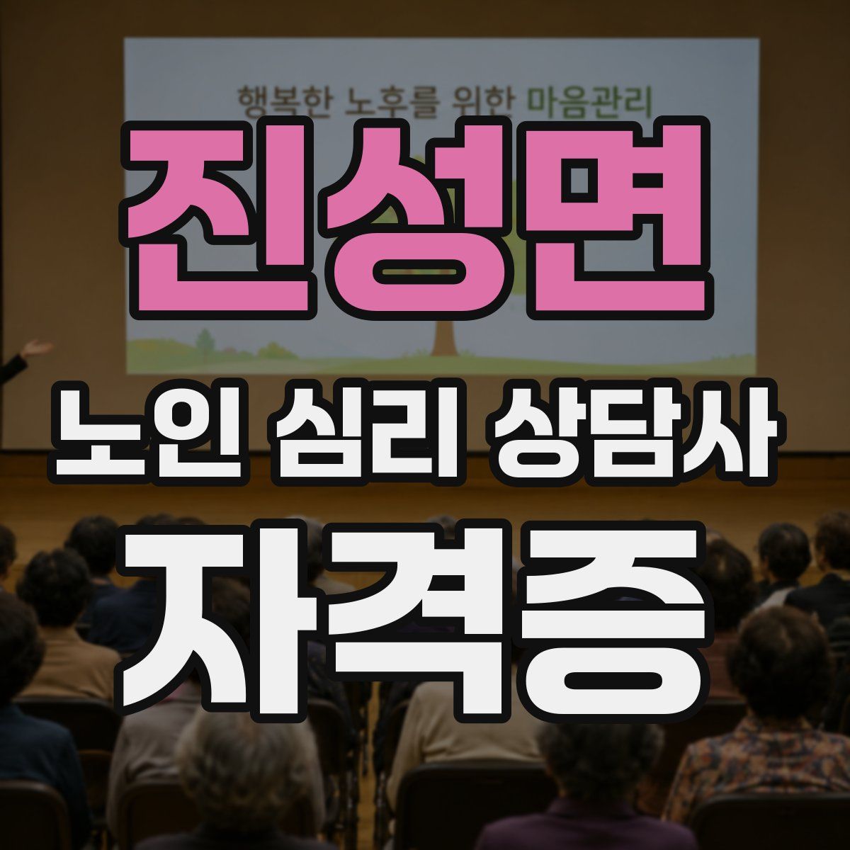 진성면 노인 심리 상담사 자격증