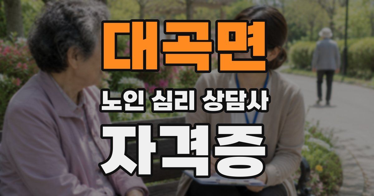 대곡면 노인 심리 상담사 자격증