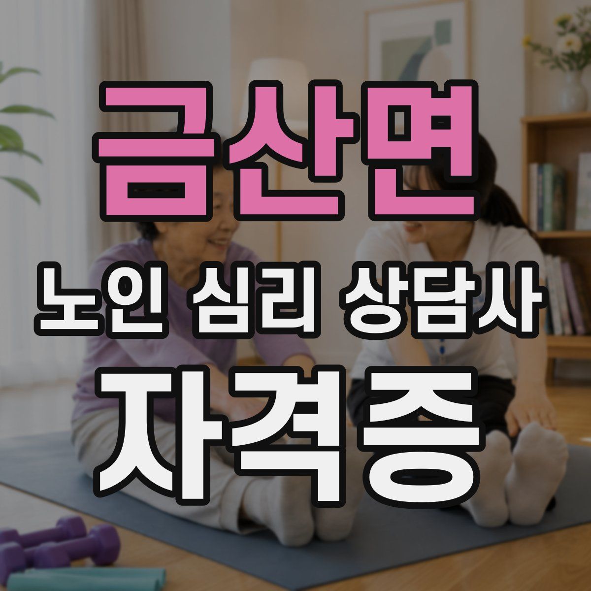 금산면 노인 심리 상담사 자격증