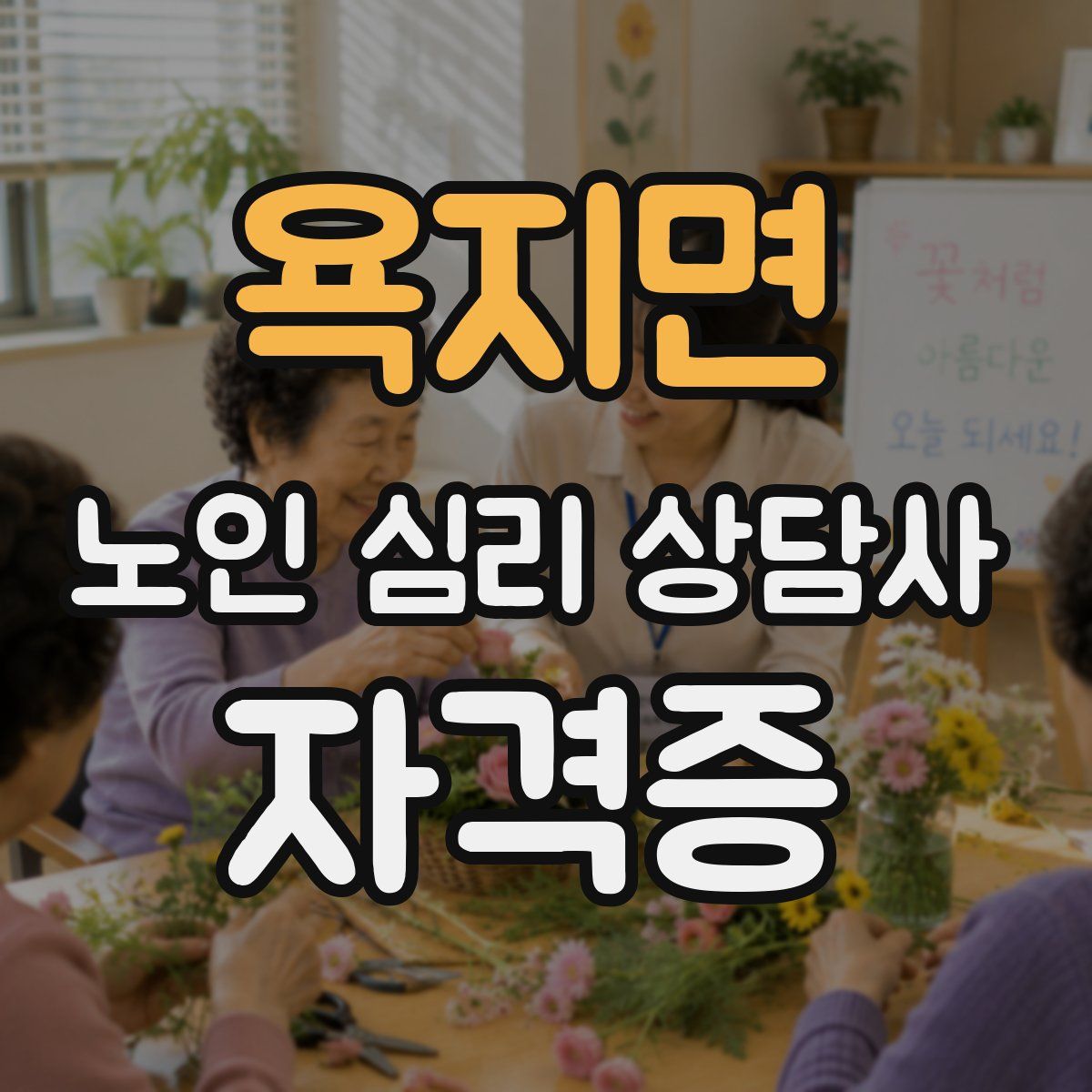 욕지면 노인 심리 상담사 자격증