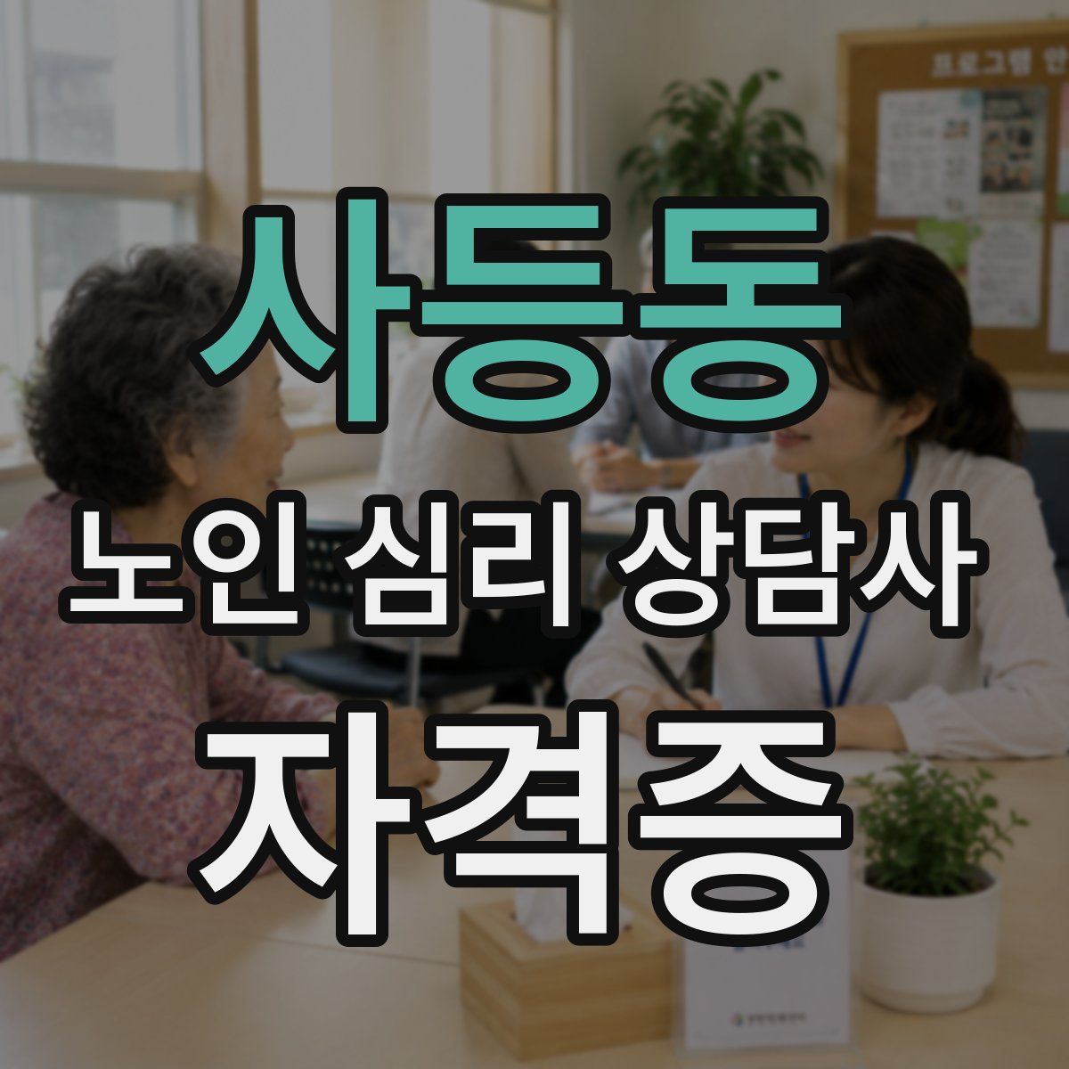 사등동 노인 심리 상담사 자격증