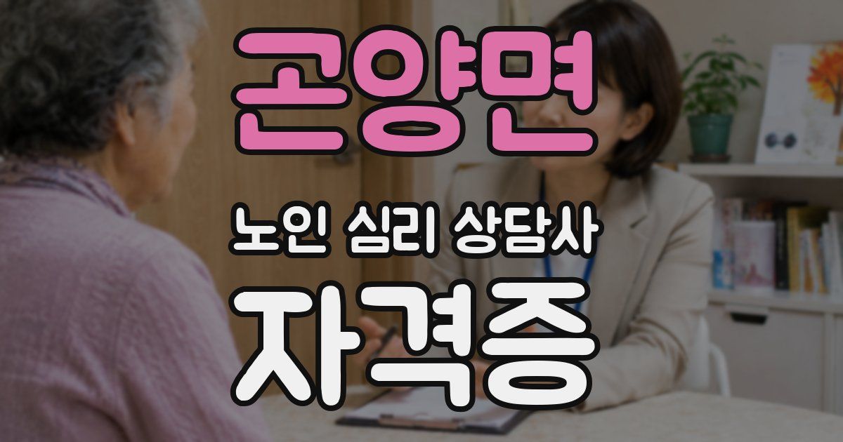 곤양면 노인 심리 상담사 자격증
